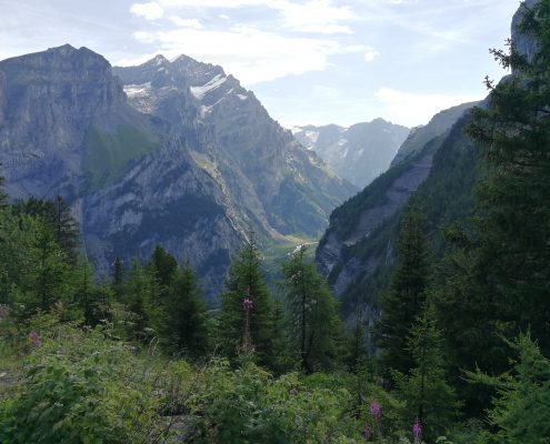Berner Oberland 2016