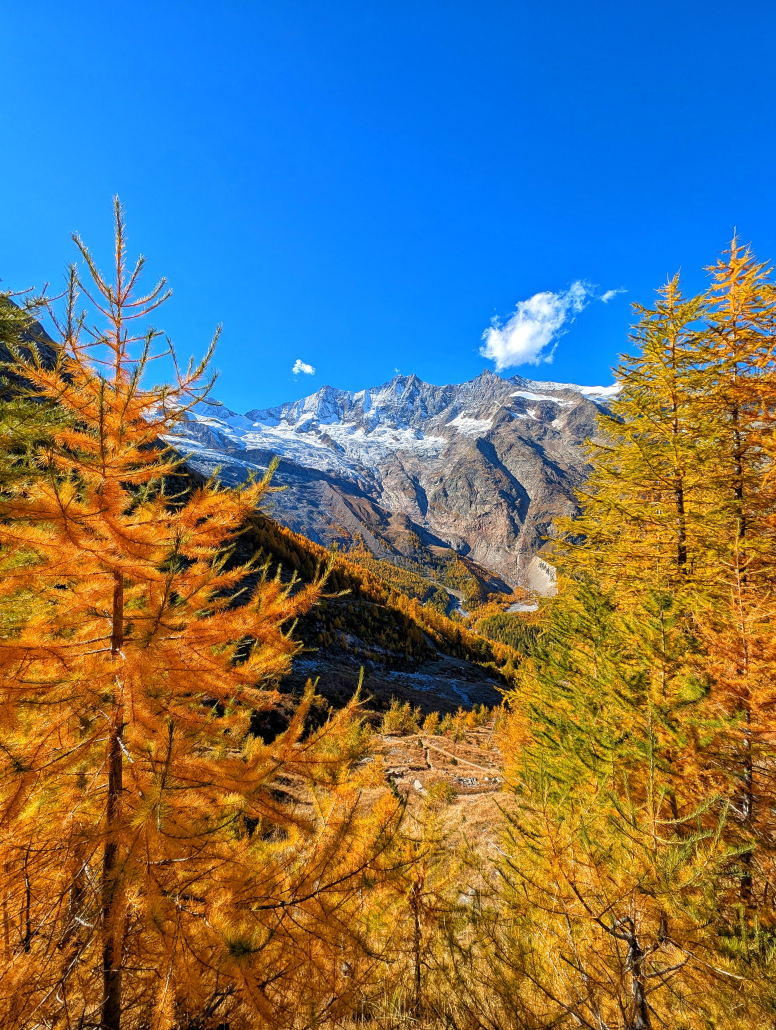 Golden Autumn over Saas-Fee